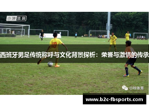 西班牙男足传统称呼与文化背景探析:荣誉与激情的传承 西班牙男足传统称呼与文化背景探析:荣誉与激情的传承