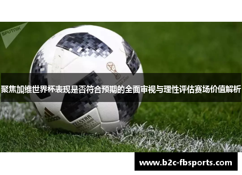 聚焦加维世界杯表现是否符合预期的全面审视与理性评估赛场价值解析 聚焦加维世界杯表现是否符合预期的全面审视与理性评估赛场价值解析